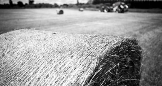 Grass/Baling Work